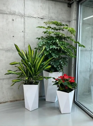 海曙花卉租赁效果评价九条建议，少走弯路